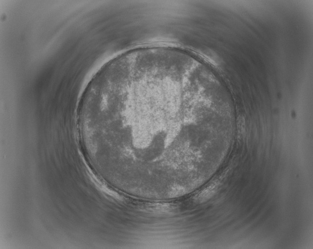 X0000055991470200509021625