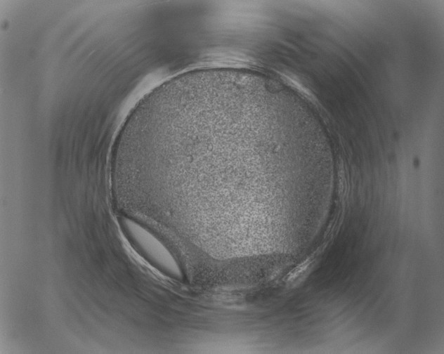 X0000055991471200509021625