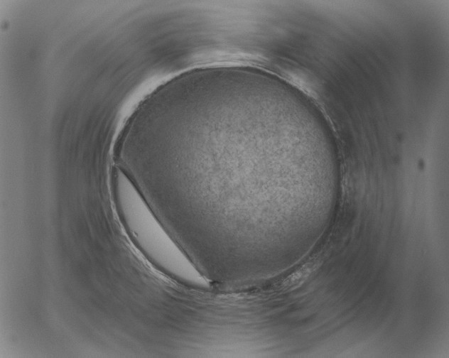 X0000055991472200509021625