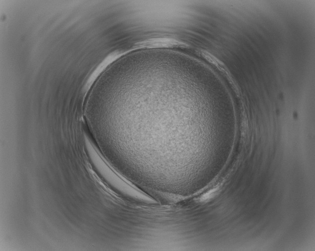 X0000055991473200509021625