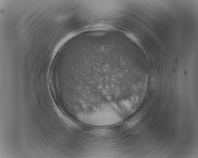 X0000055991474200509021625