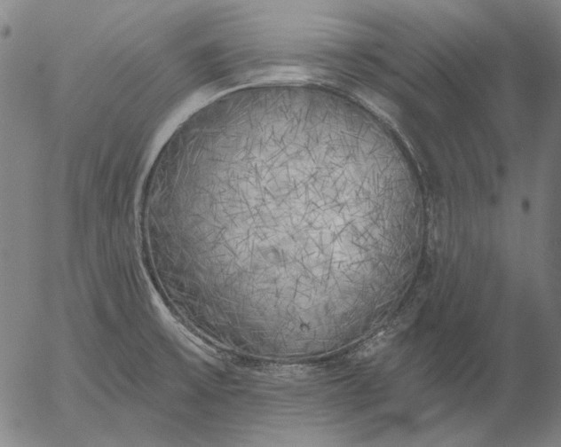 X0000055991475200509021625