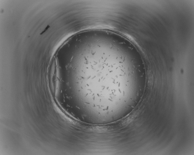 X0000055991476200509021625