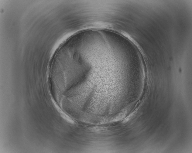 X0000055991477200509021625