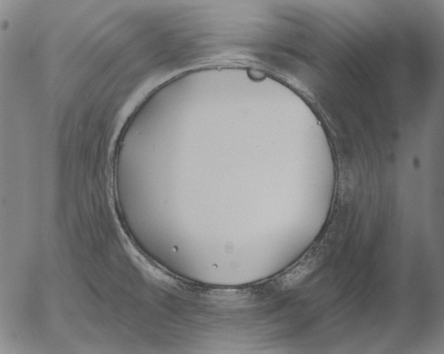 X0000055991478200509021625