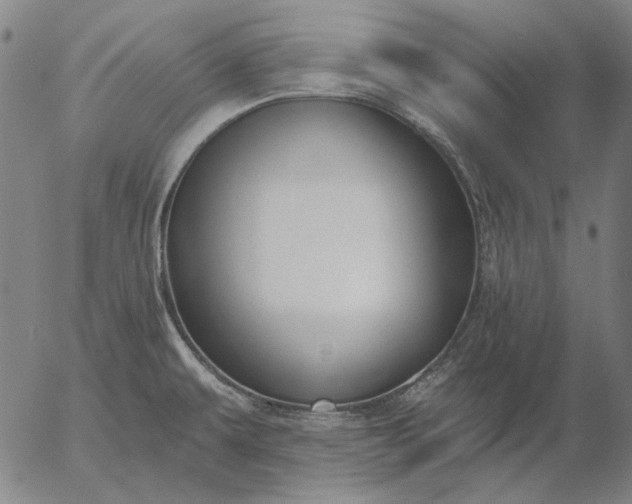 X0000055991479200509021625