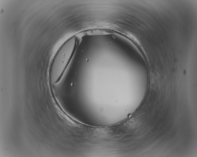 X0000055991480200509021625