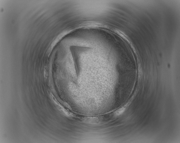 X0000055991481200509021625