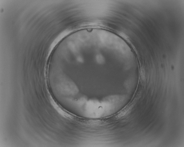 X0000055991482200509021625