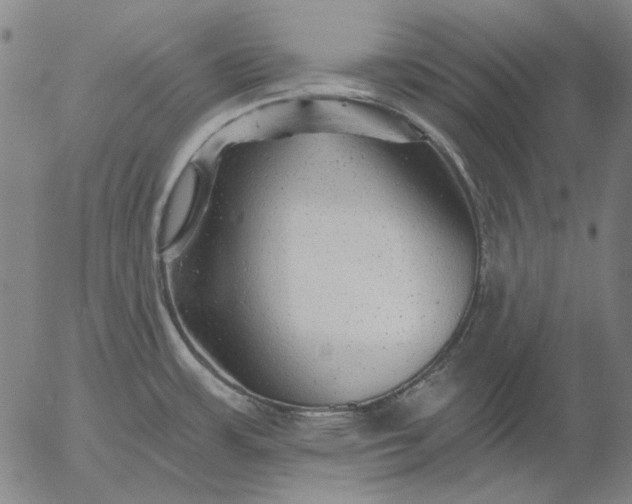 X0000055991483200509021625