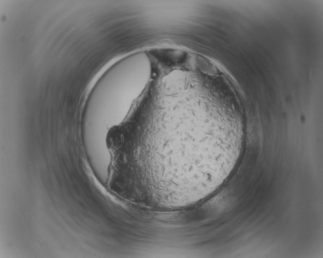 X0000055991484200509021625