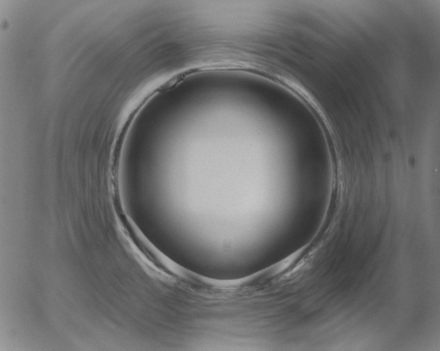 X0000055991485200509021625