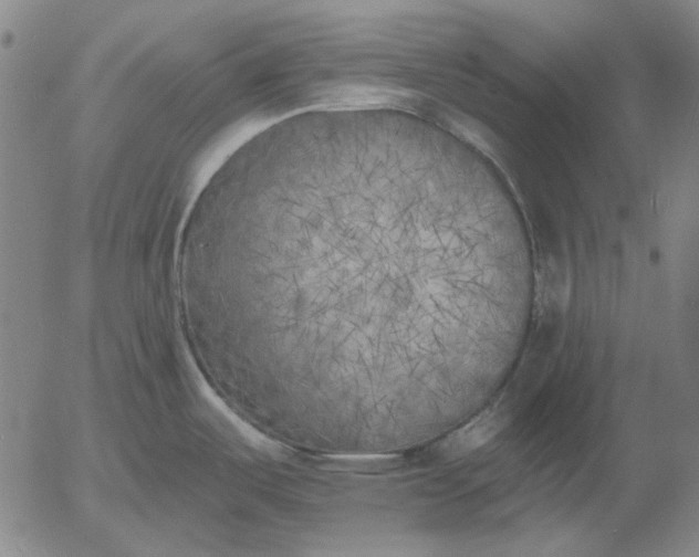 X0000055991487200509021625