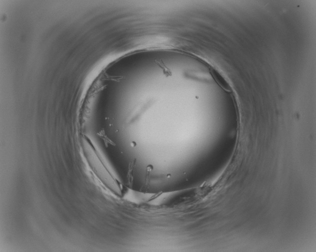 X0000055991488200509021625