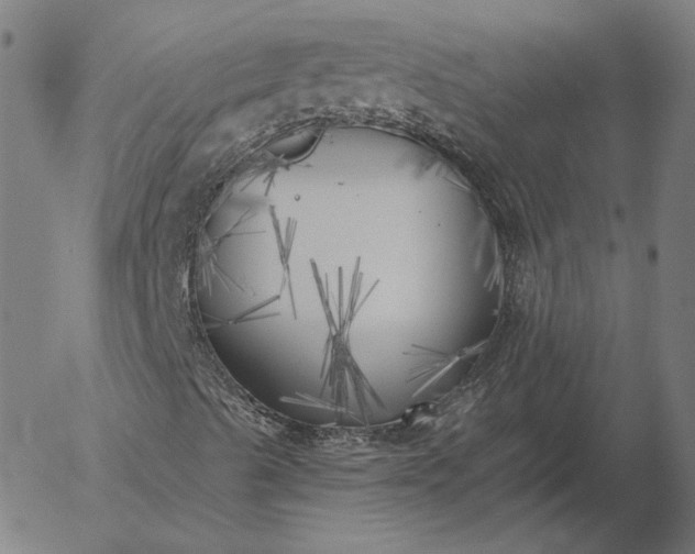 X0000055991489200509021624