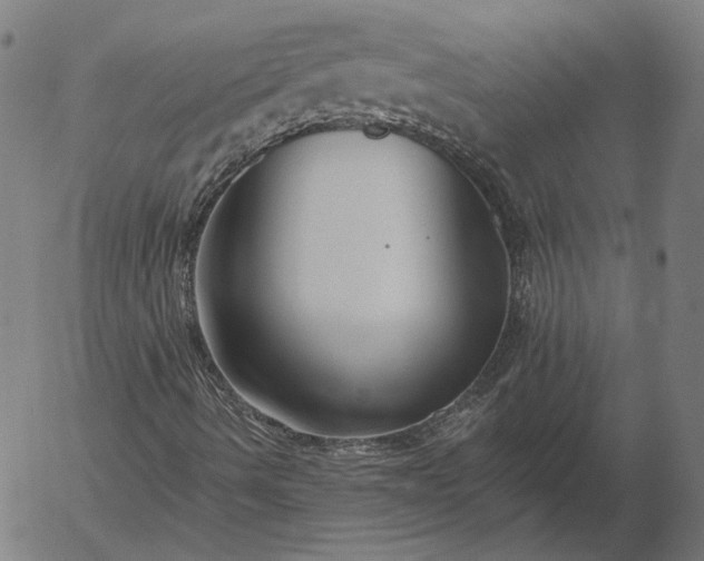 X0000055991490200509021624