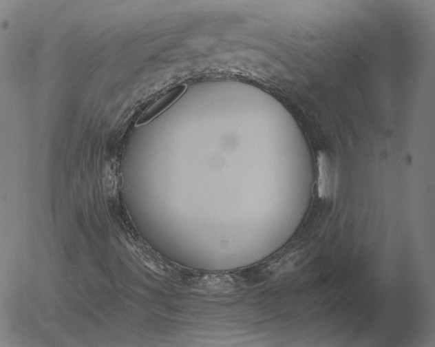 X0000055991491200509021624