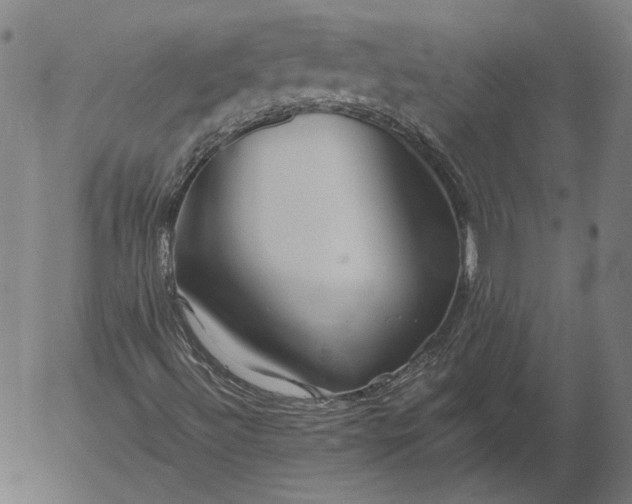 X0000055991492200509021624