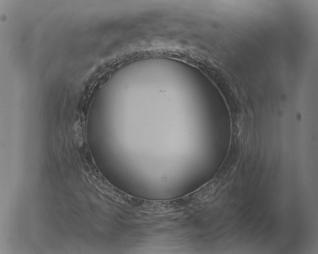 X0000055991493200509021624