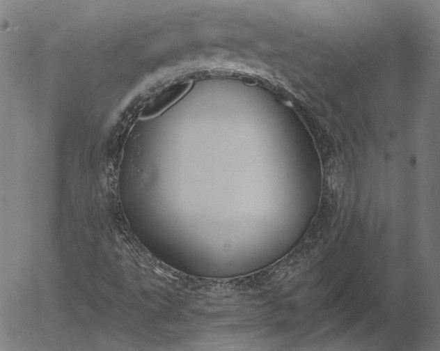 X0000055991495200509021624