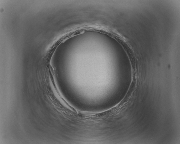 X0000055991496200509021624