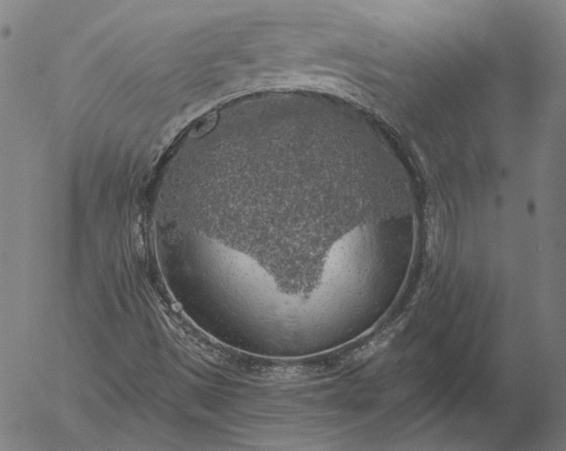 X0000055991497200509021624