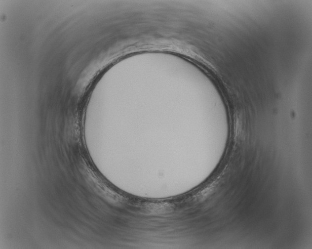 X0000055991498200509021625