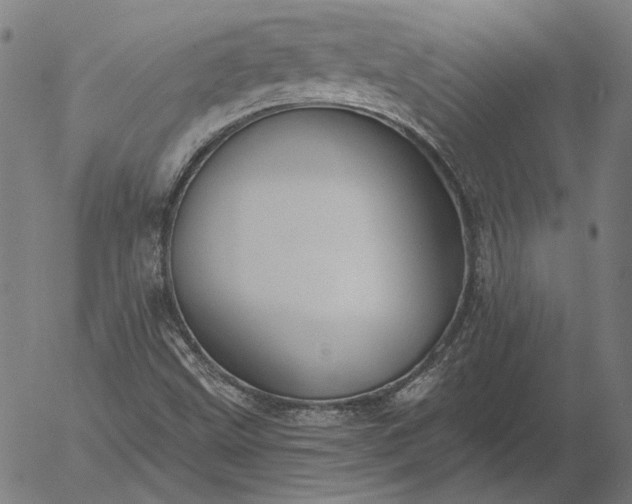 X0000055991499200509021625