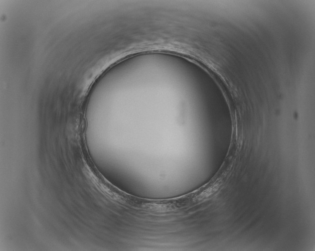 X0000055991500200509021625