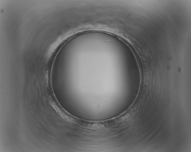 X0000055991503200509021625