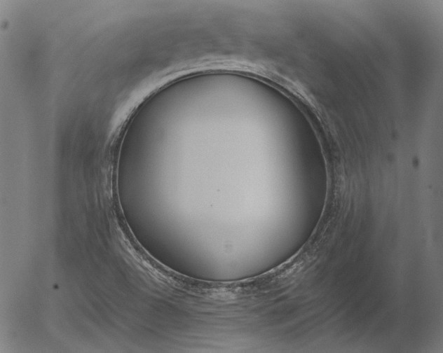 X0000055991504200509021625