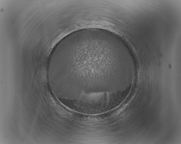 X0000055991505200509021625