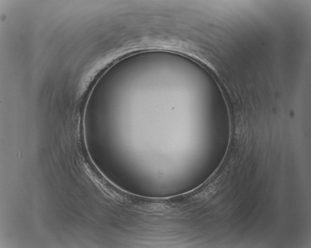 X0000055991507200509021625