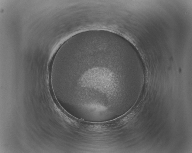 X0000055991508200509021625