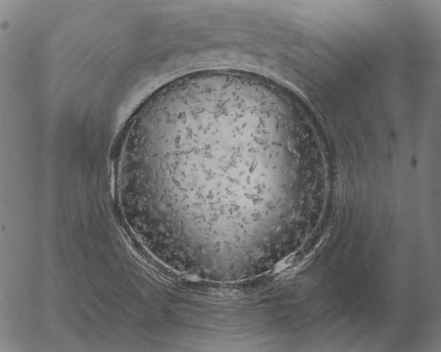 X0000055991509200509021625