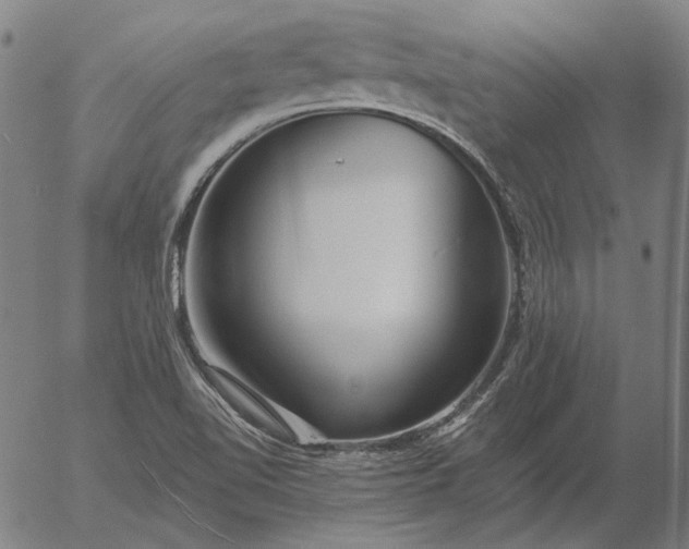 X0000055991510200509021625