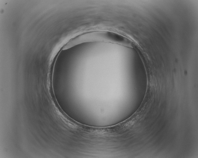 X0000055991512200509021625