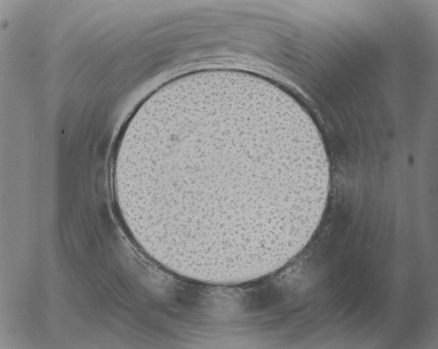 X0000055991514200509021625