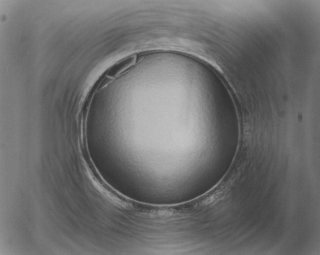 X0000055991515200509021625