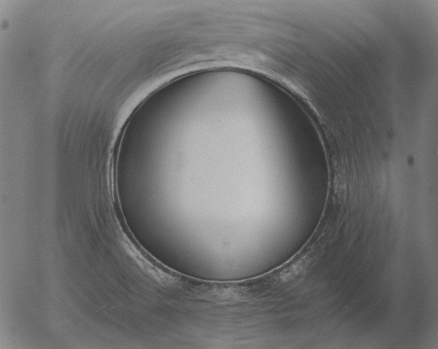 X0000055991516200509021625