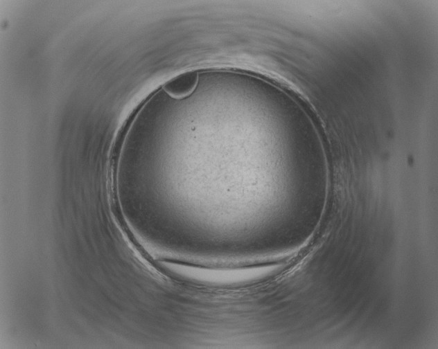 X0000055991517200509021625