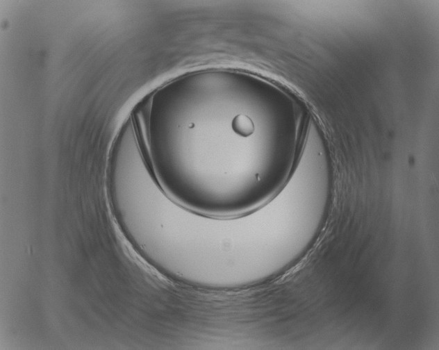 X0000055991518200509021625