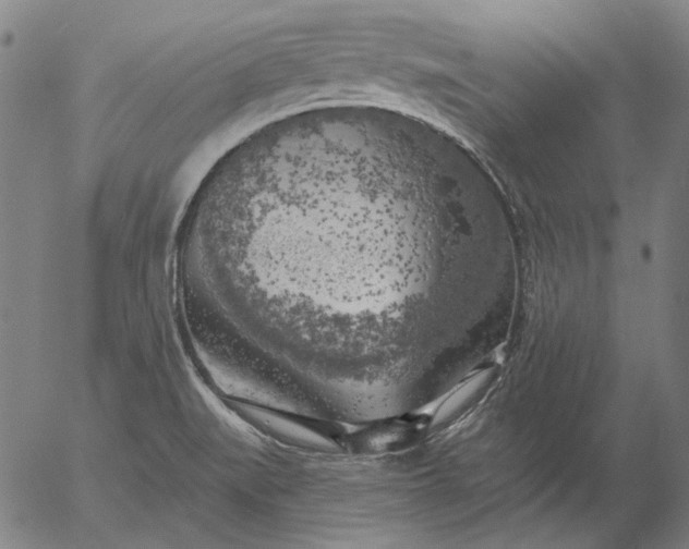 X0000055991519200509021625