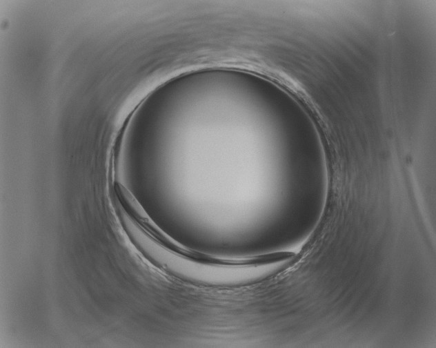 X0000055991520200509021625