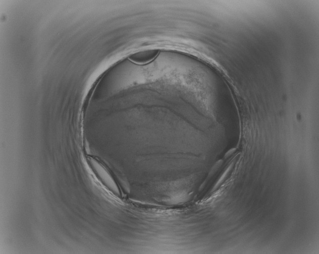 X0000055991522200509021625