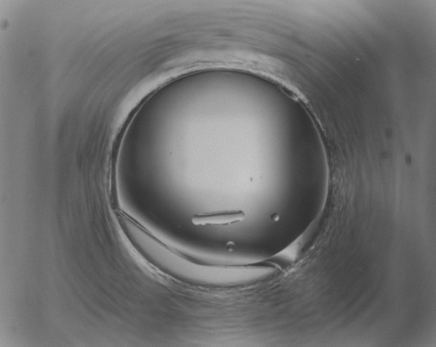 X0000055991523200509021625