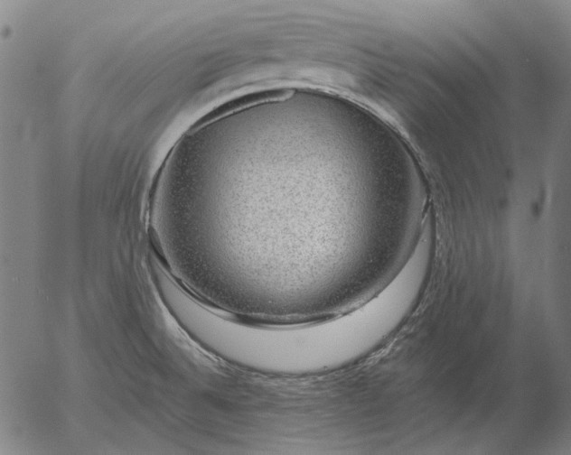 X0000055991524200509021625