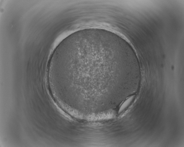 X0000055991525200509021625