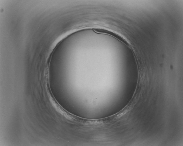 X0000055991526200509021625