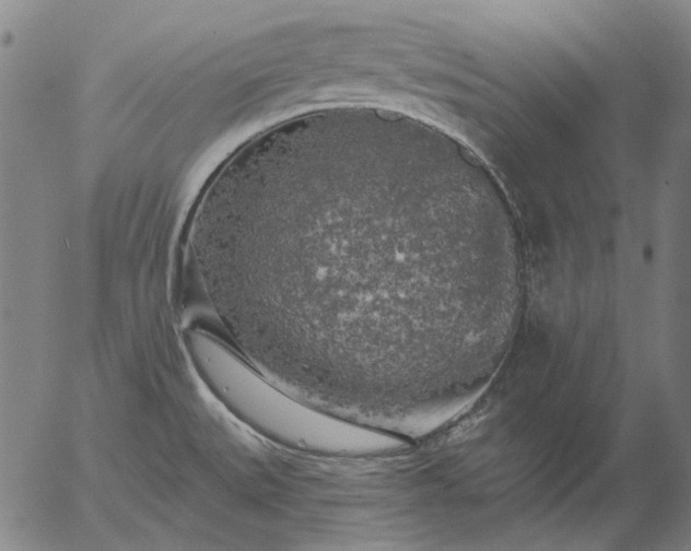 X0000055991527200509021625